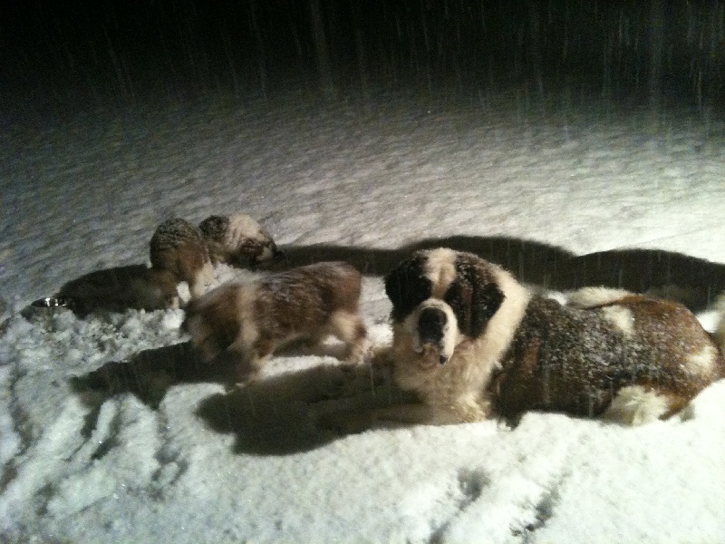 Dans la neige avec papa